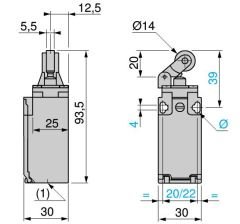 XCKP2121P16 Makaralı Kollu Limit Switch