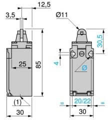 XCKP2102P16 Makaralı Pimli Limit Switch