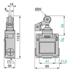 XCKM121 Plastik Makaralı Kollu Limit Switch